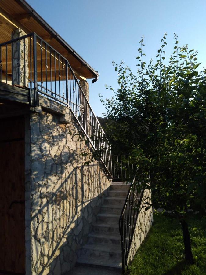 Vinarija "Delmo" Apartments 트레빈예 외부 사진