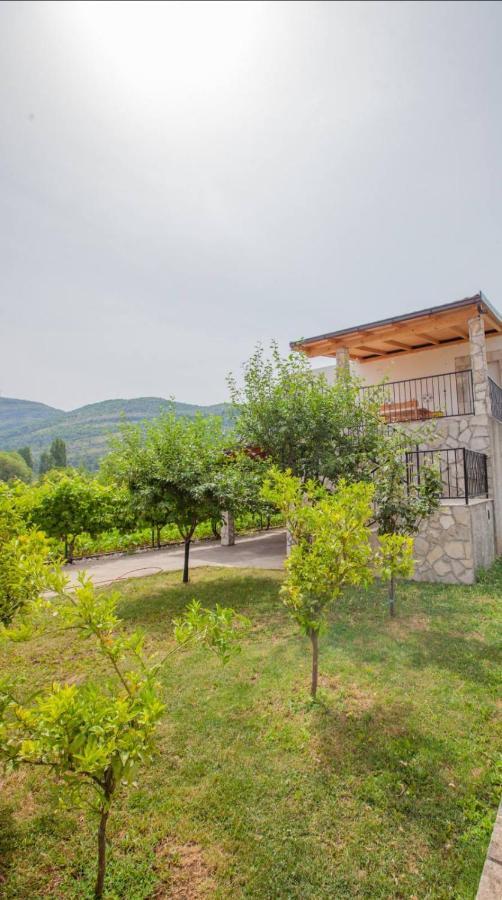 Vinarija "Delmo" Apartments 트레빈예 외부 사진